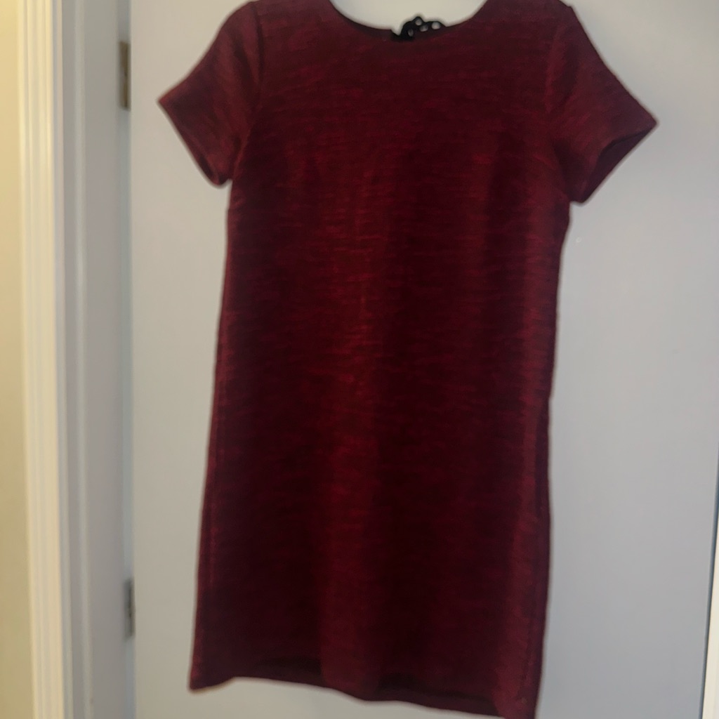 Loft Red Mini Dress